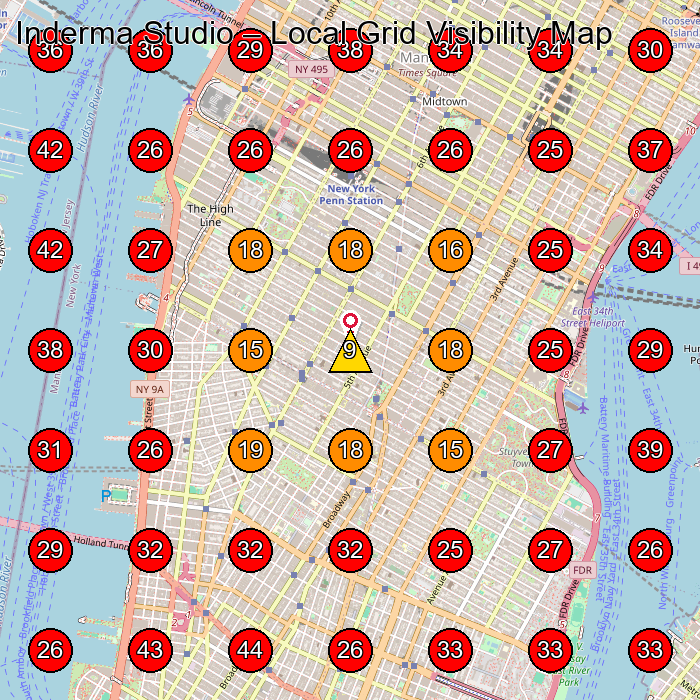 Inderma Studio GeoGrid visibility map for Facial Spa in New York